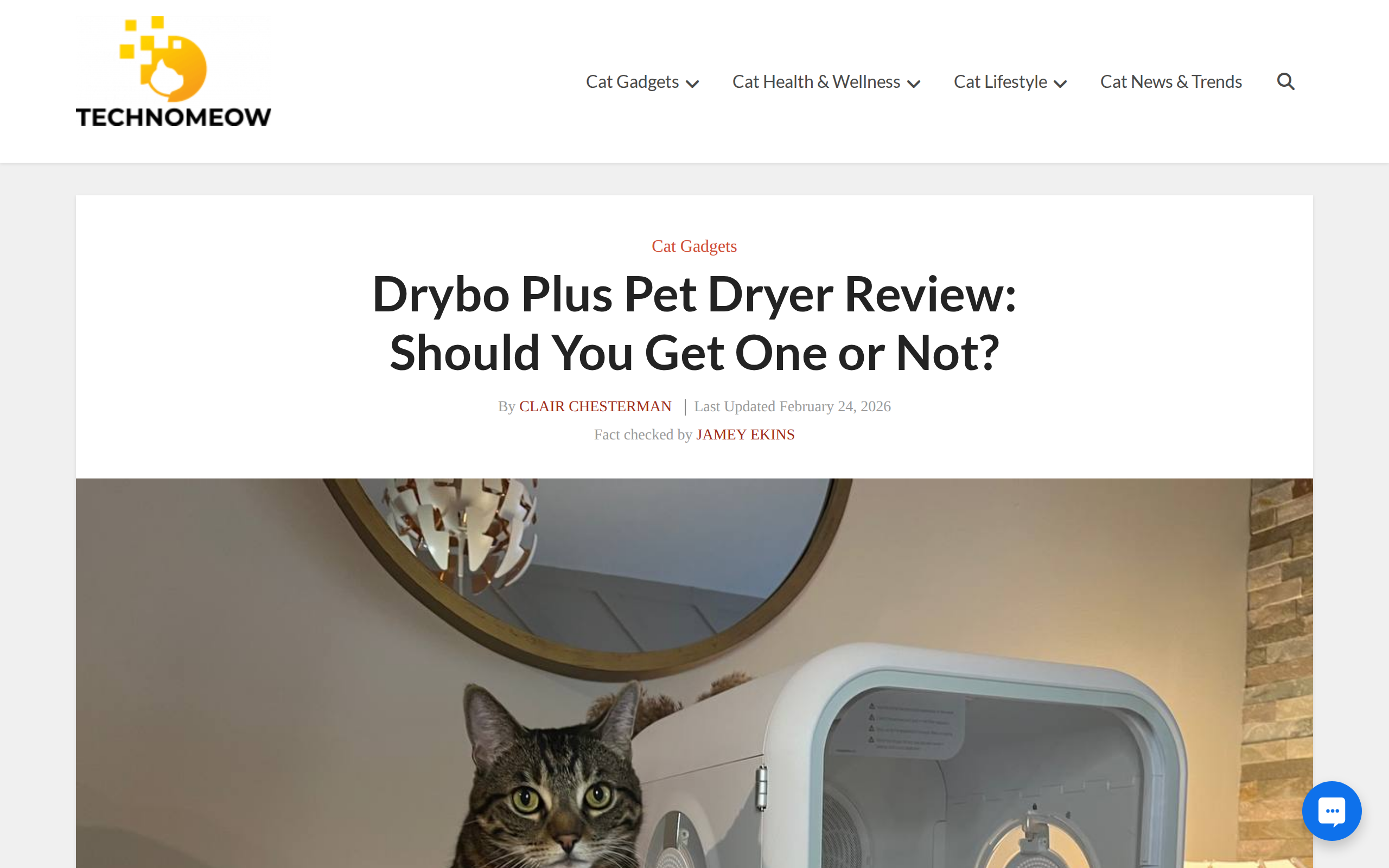 TechnoMEOW review page headed Drybo Plus Pet Dryer Review: Should You Get One or Not?, with a photo captioned My cat near Drybo Plus Pet Dryer