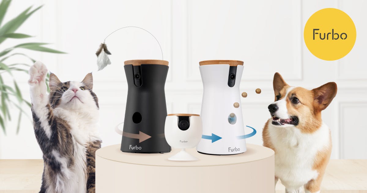 The Furbo Mini 360 between a black and a white full-size Furbo, with a cat and a corgi on either side