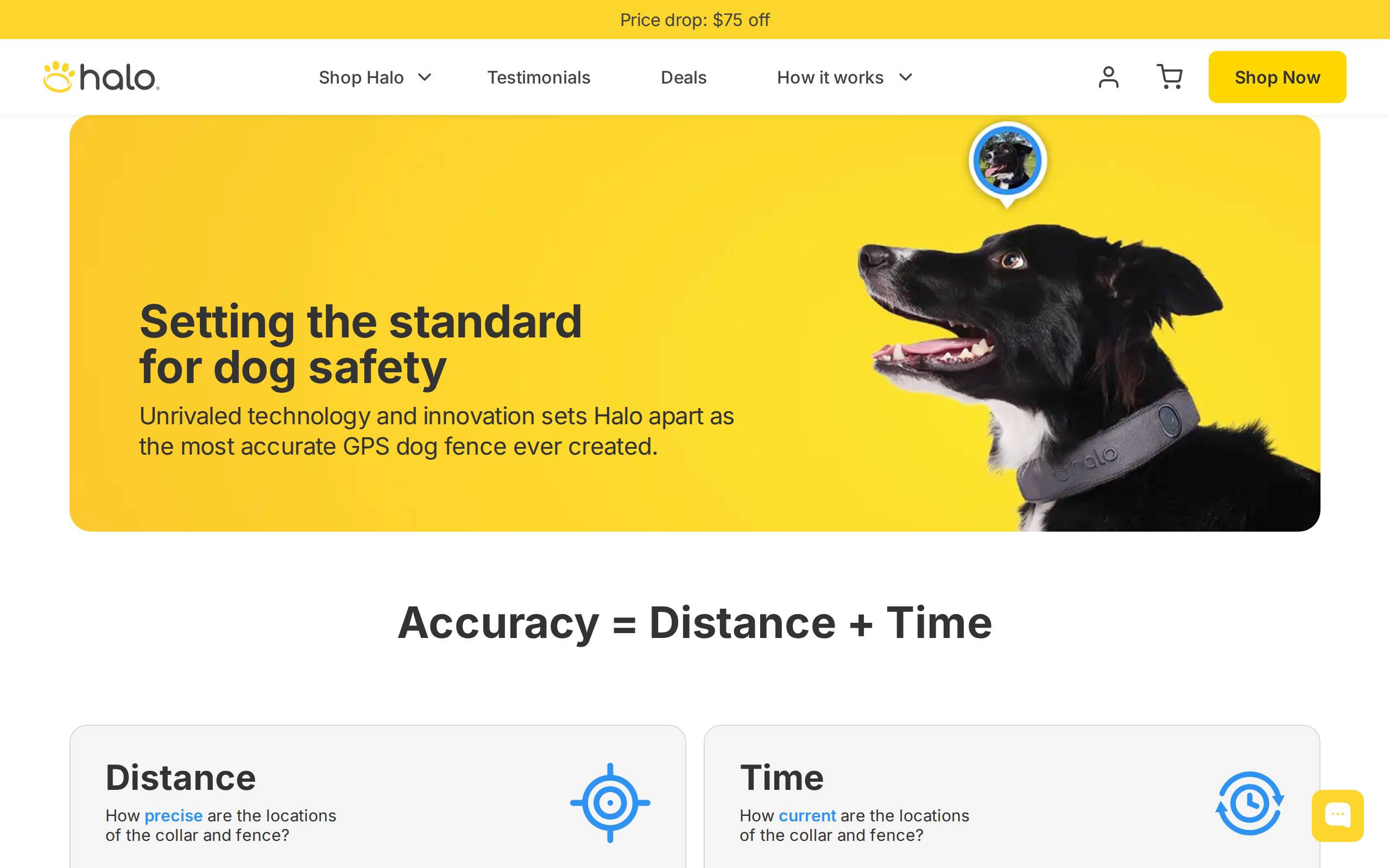 Halo accuracy page headed Setting the standard for dog safety, explaining distance and time