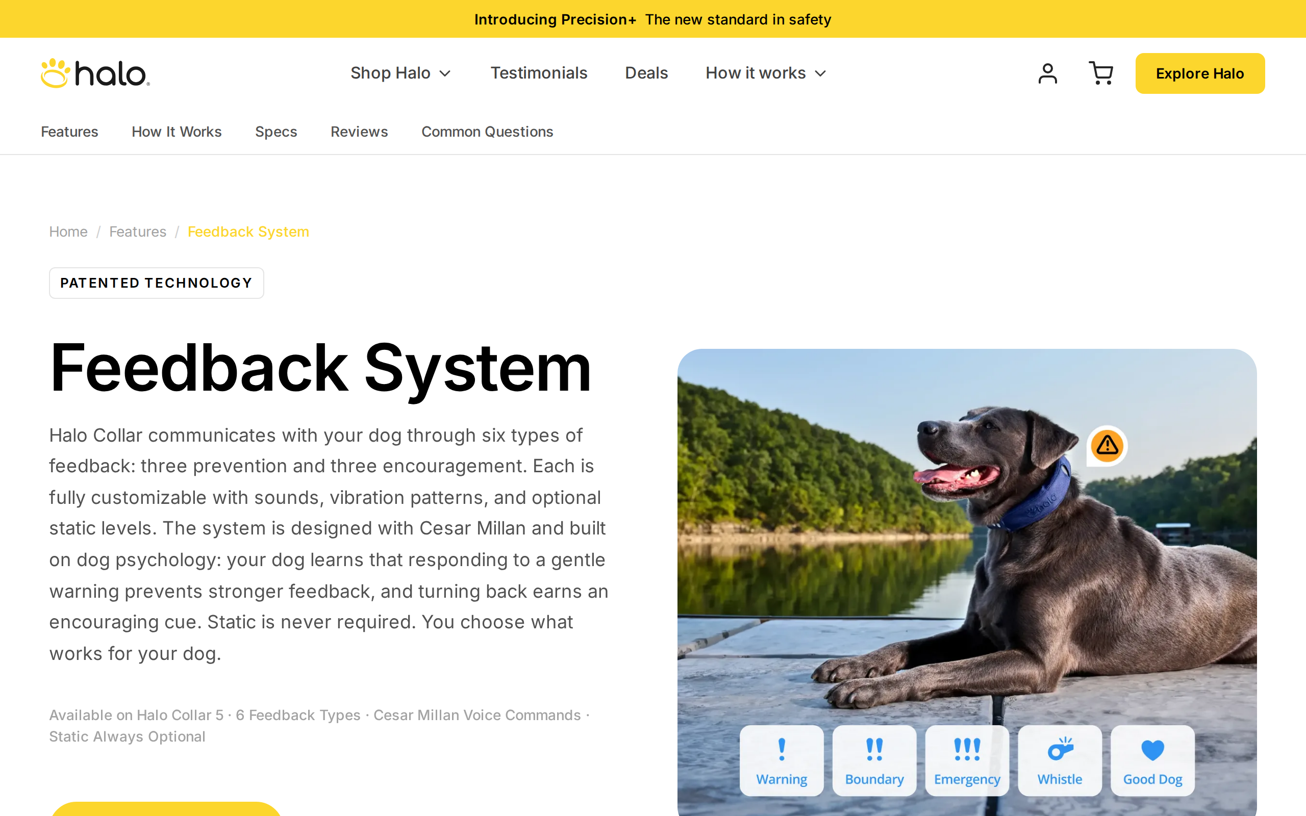Halo feedback system page describing six types of feedback and customizable cues