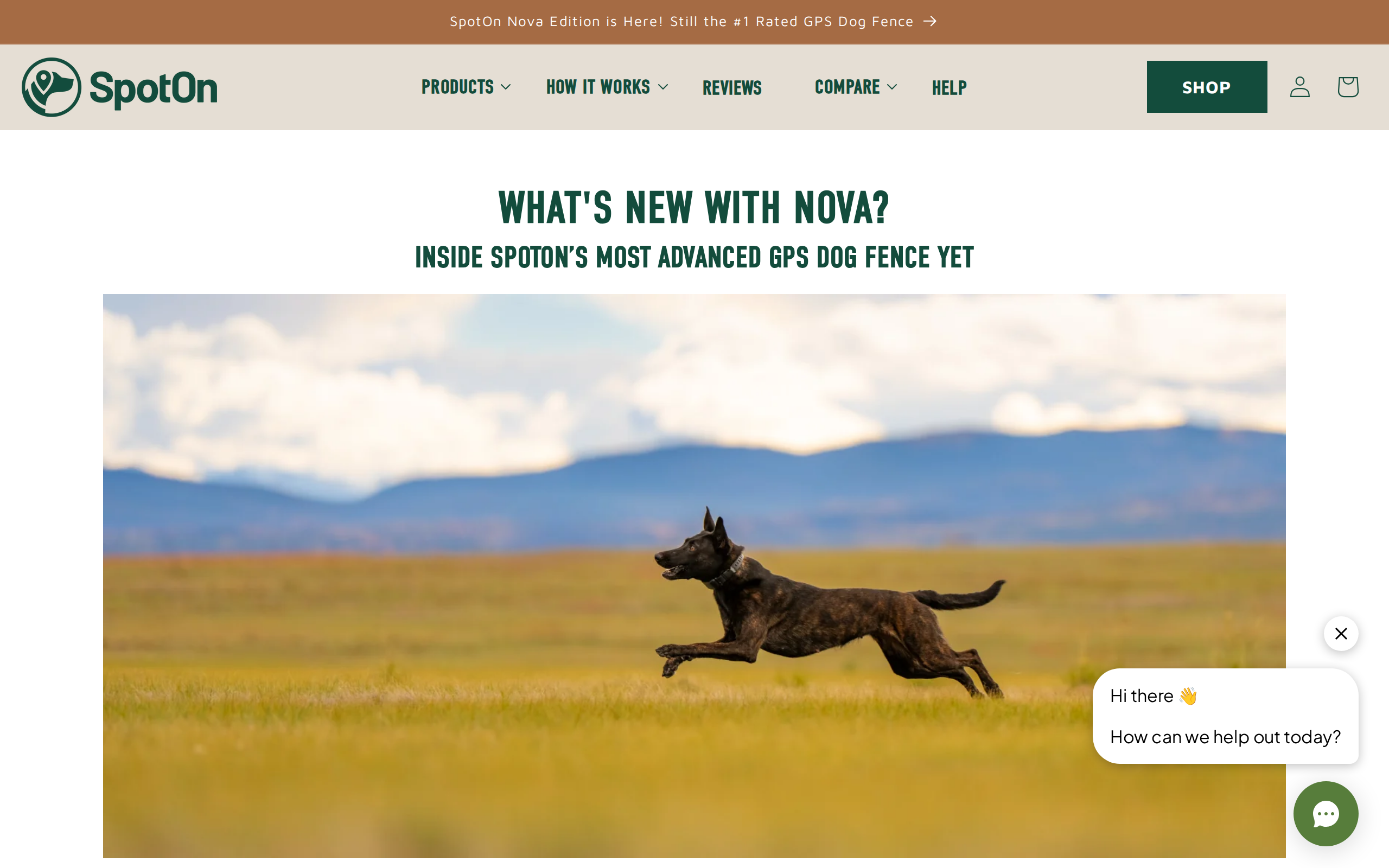 SpotOn's page introducing the Nova Edition, headed "What's new with Nova?"