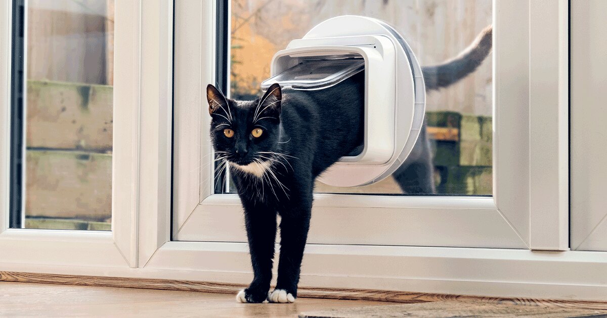 Sure Petcare product artwork for the Microchip Cat Flap Connect