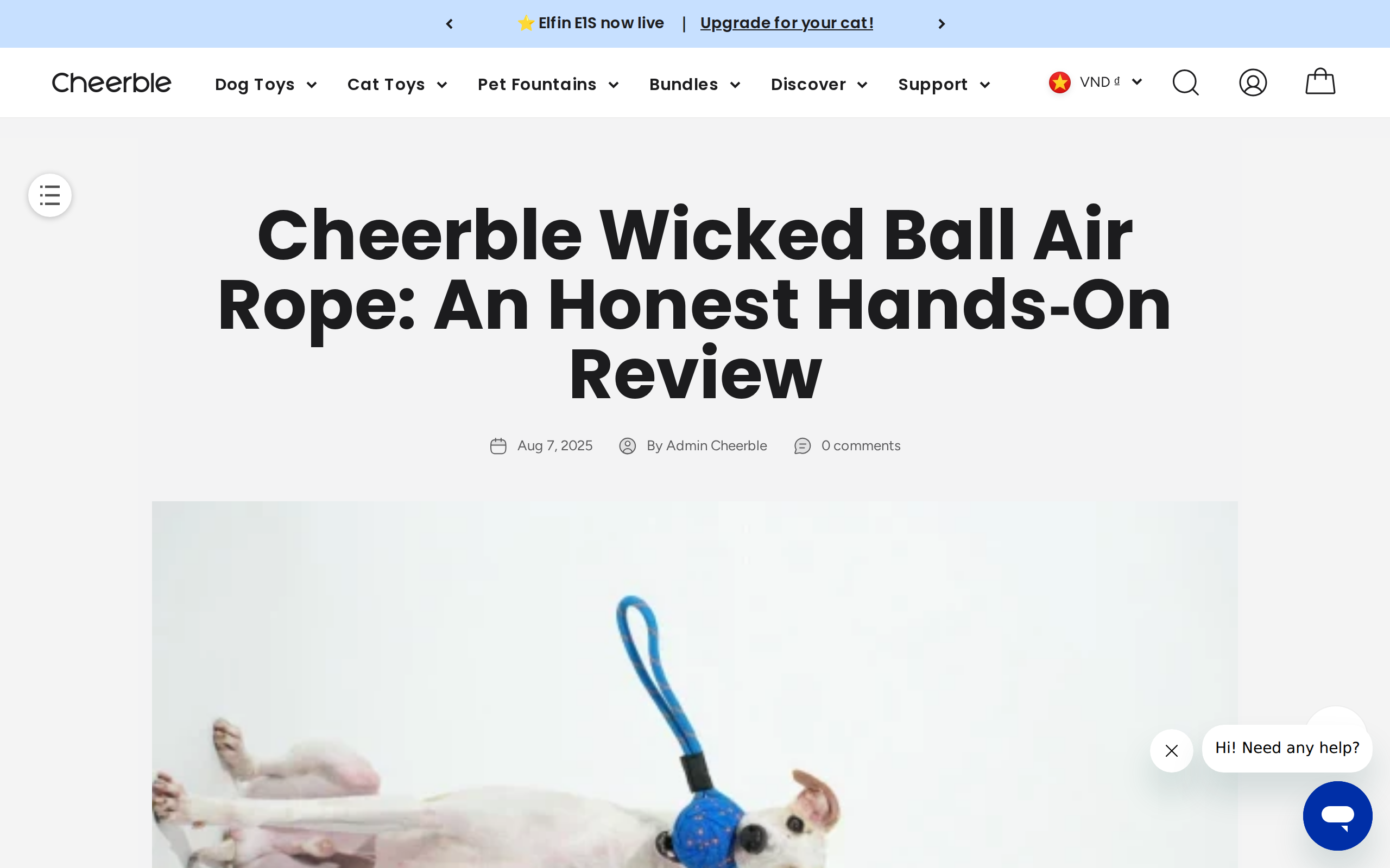 The Cheerble blog review of the Wicked Ball Air Rope, with a dog playing indoors with a blue toy