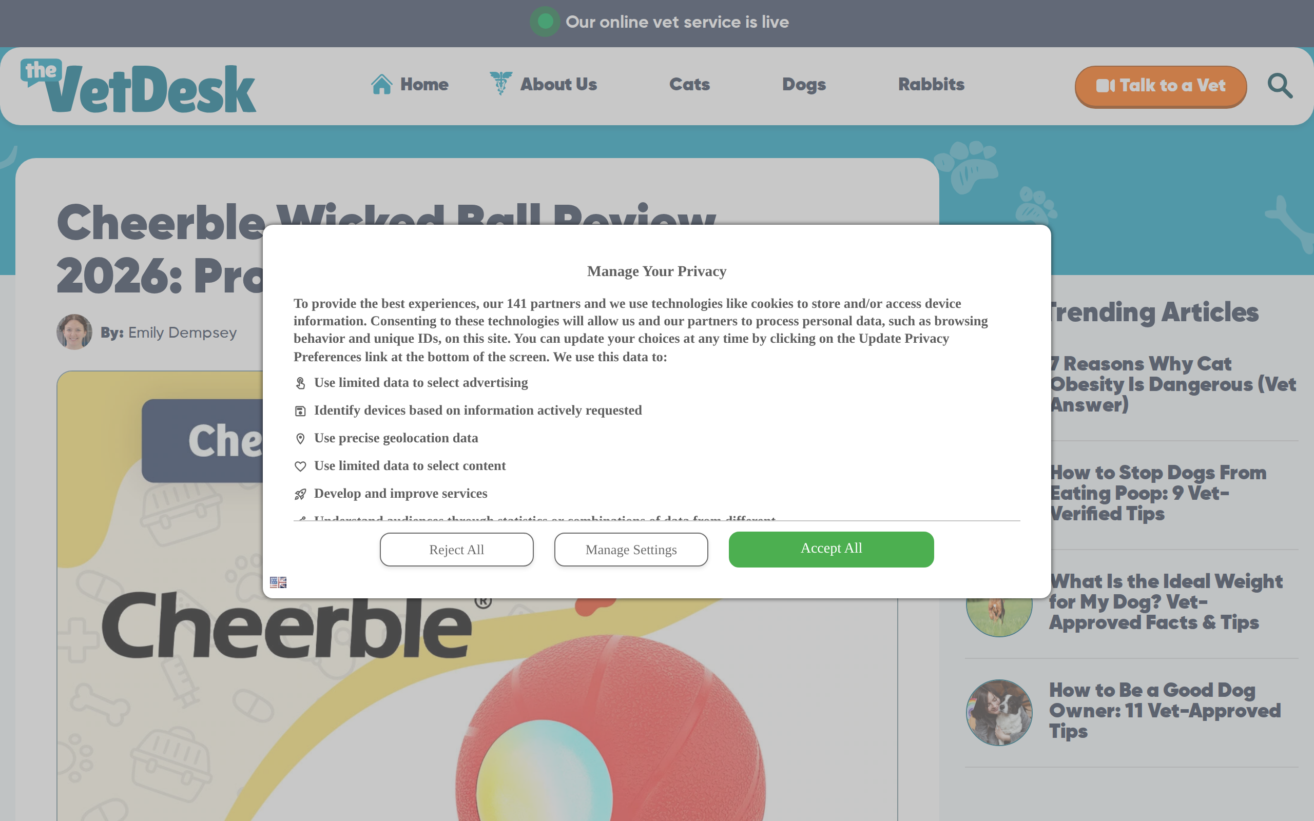 A pet-vet website's review of the Cheerble Wicked Ball line, headed Pros, Cons and Our Verdict