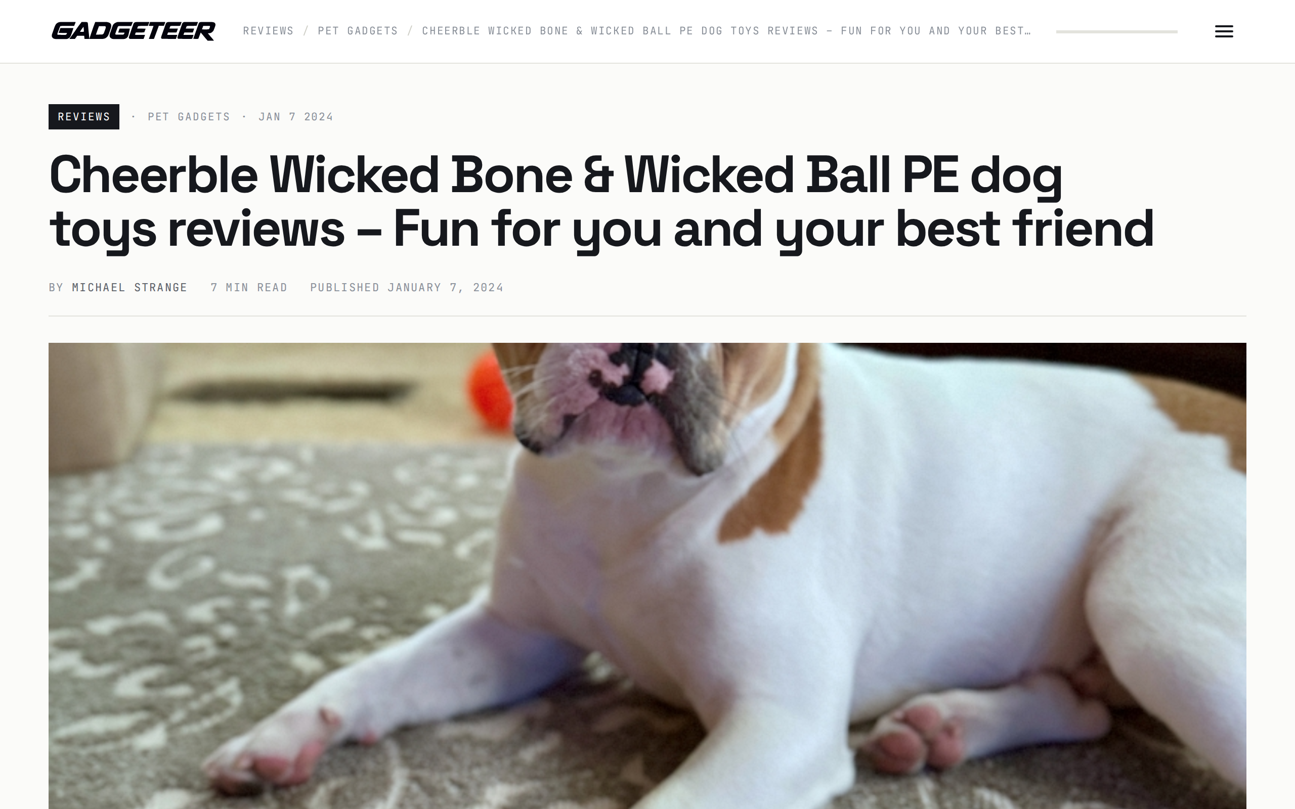 The Gadgeteer's review of the Wicked Bone and Wicked Ball PE, headline and lead photograph